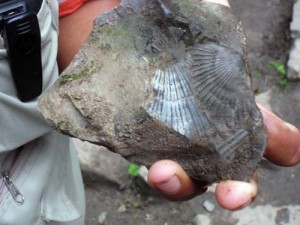 fossils in the area around Gocta Waterfall