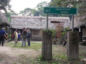 tingana ecotourism moyobamba peru