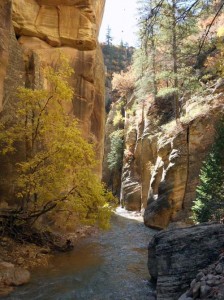 Upper narrows had fall colors