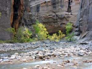 Deep Creek The Narrows Zion National Park