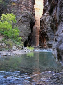 The Narrows Zion National Park