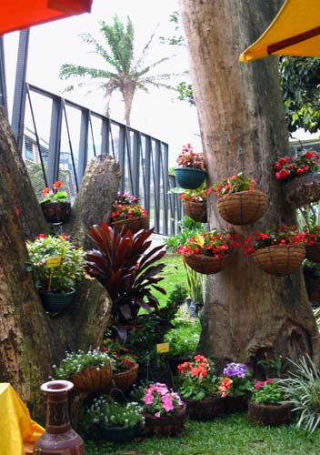 Medellin – Jardin Botánico