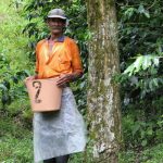 Coffee picker Columbia