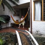 Palm Tree Hostel Medellin